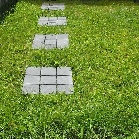 Green شقة *
